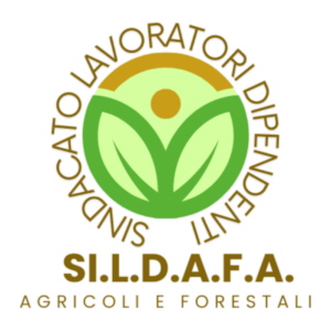 Home salp sildafa mod